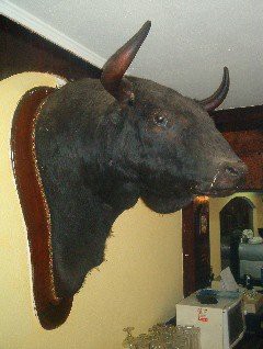 Mesón El Toro apoya al gallego Serxio